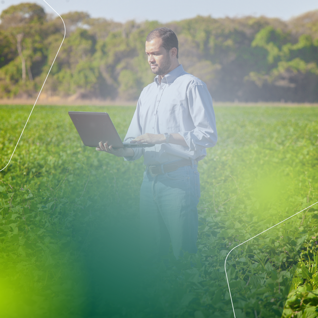 Leia mais sobre o artigo CST – Gestão do Agronegócio